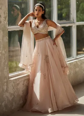 Champagne Pink Embroidered Lehenga